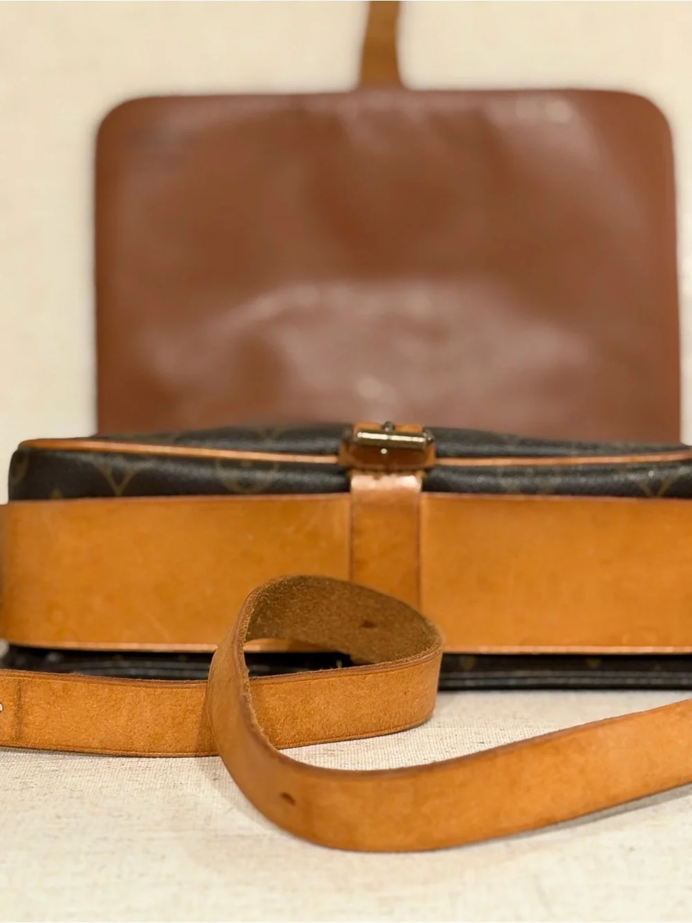 Louis Vuitton timeless vintage
